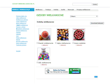 Tablet Screenshot of ozdoby.wielkanocne.pl